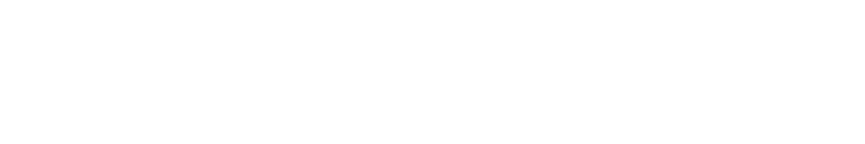 Wolpert Vernon & Gordon LLP Logo